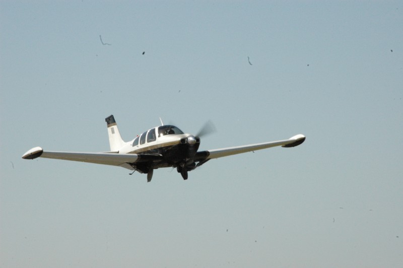 2010GraceFlight/DSC_2911.jpg
