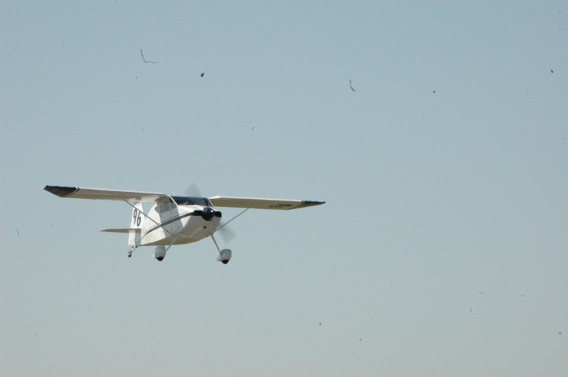 2010GraceFlight/DSC_2911.jpg