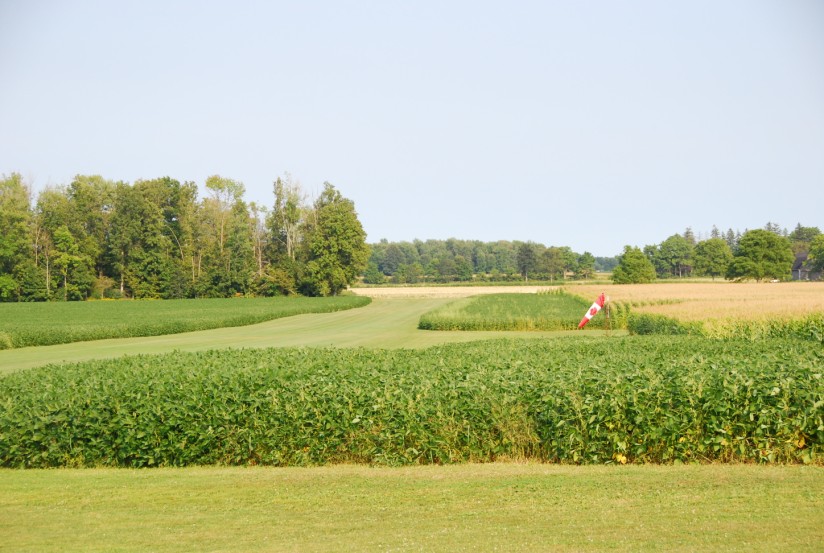 GCAR2010/DSC_6197.jpg