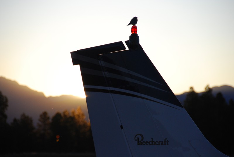 PagosaSprings100/pagosa_racers.jpg